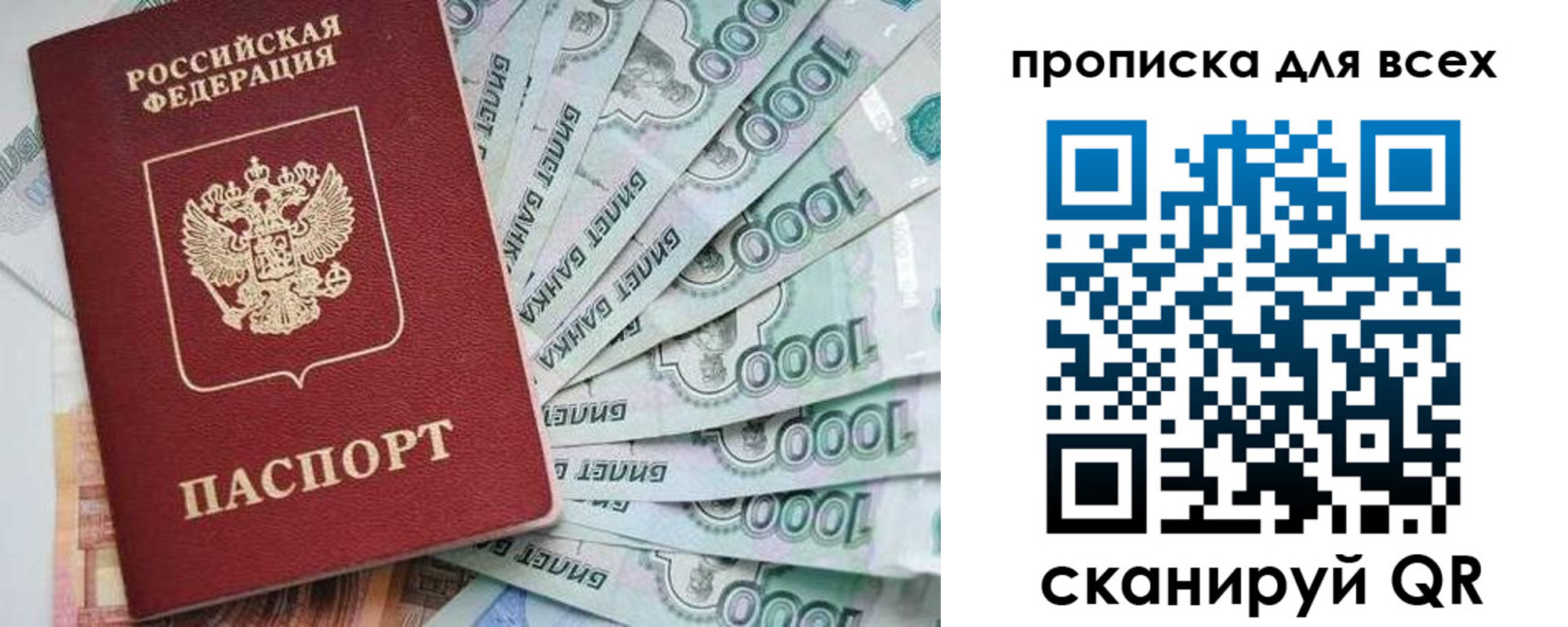 прописка гарантия в Коряжме